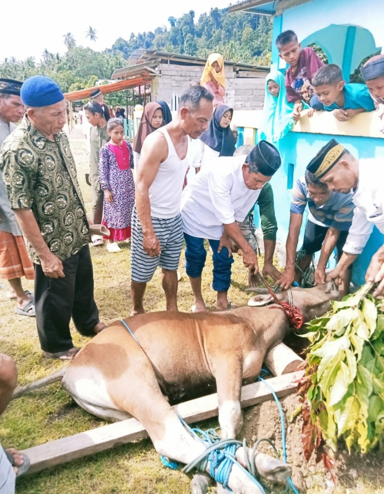 Rayakan Idul Adha, Pemdes Desa Yaba Bersama Panitia Mesjid Sembelih 1 Ekor&nbsp;Sapi